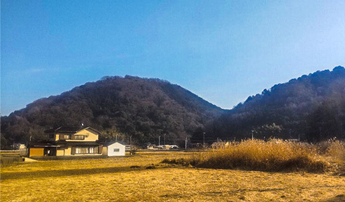 写真：会社近隣風景